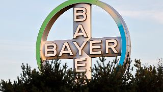 Bayer will endlich die Wende schaffen - trüber Ausblick