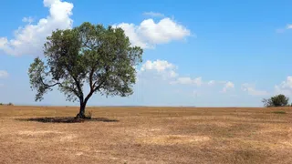 Sizilien kämpft mit Wasserknappheit – trotz genügend Wasser