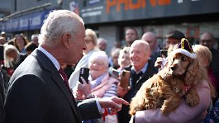 Charles wird von gekr&ouml;ntem Hund begr&uuml;&szlig;t