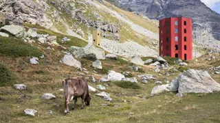 Höhenfieber – Bestimmen Sie die Sommerserie auf SRF 2 Kultur