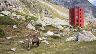 Höhenfieber: Bestimmen Sie die Sommerserie auf Radio SRF 2 Kultur