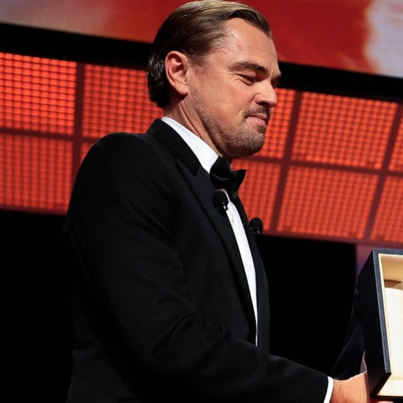 Leonardo DiCaprio überreicht Ehrenpalme