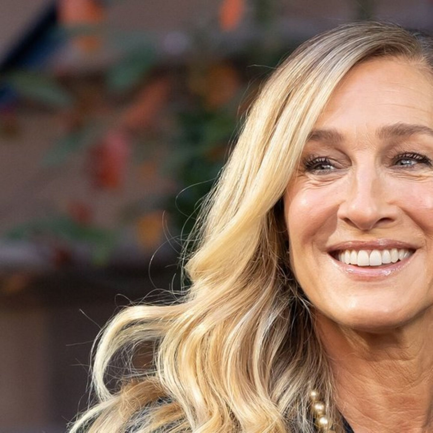 "SATC"-Star schaut eigene Serien nicht