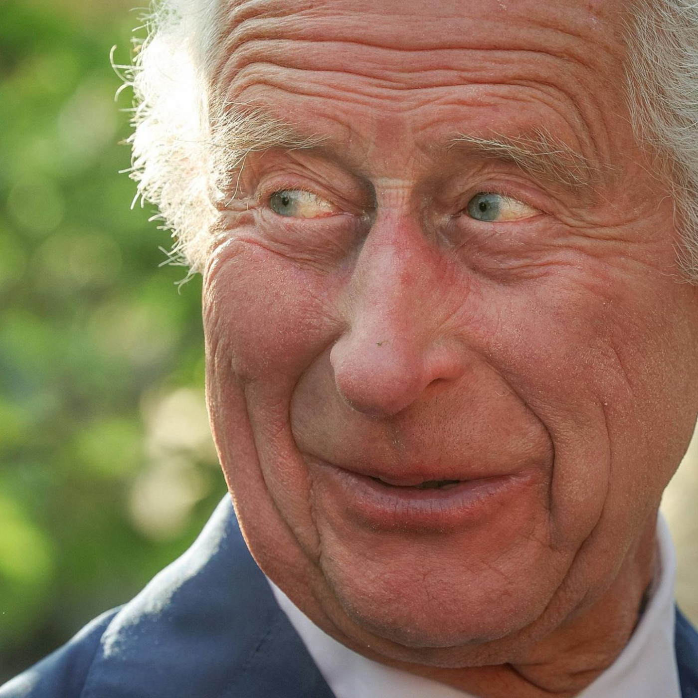 Der Insektenkönig: Diese skurrilen Dinge wurden Charles im Krönungsjahr geschenkt