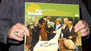 «Pet Sounds» war Brian Wilsons Meisterwerk für die Ewigkeit