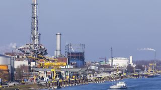 BASF spart Millionen am Stammsitz - aber nicht beim Weinkeller
