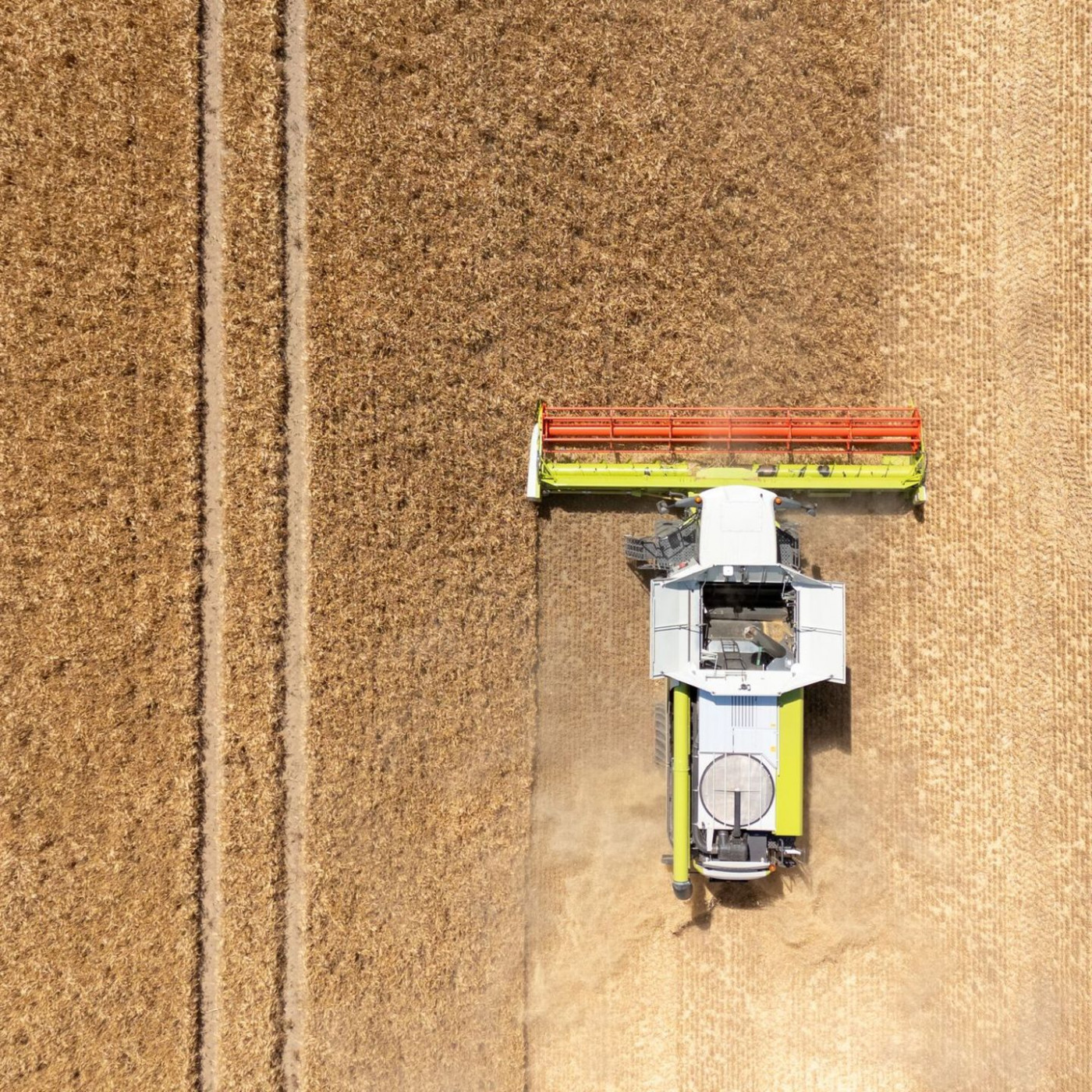 Landwirte hoffen auf durchschnittliche Ernte