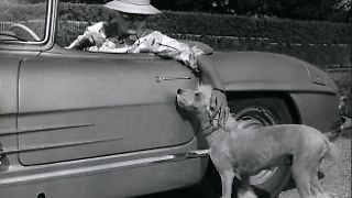 "Teddy" - Eine Frau wird erwachsen