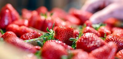 Preise für heimische Erdbeeren sind seit 2015 um fast 70 Prozent gestiegen
