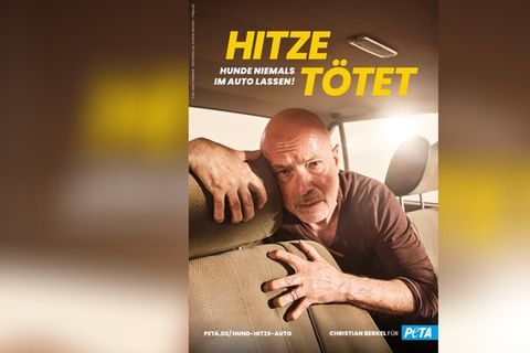 Ein Herz für Hunde