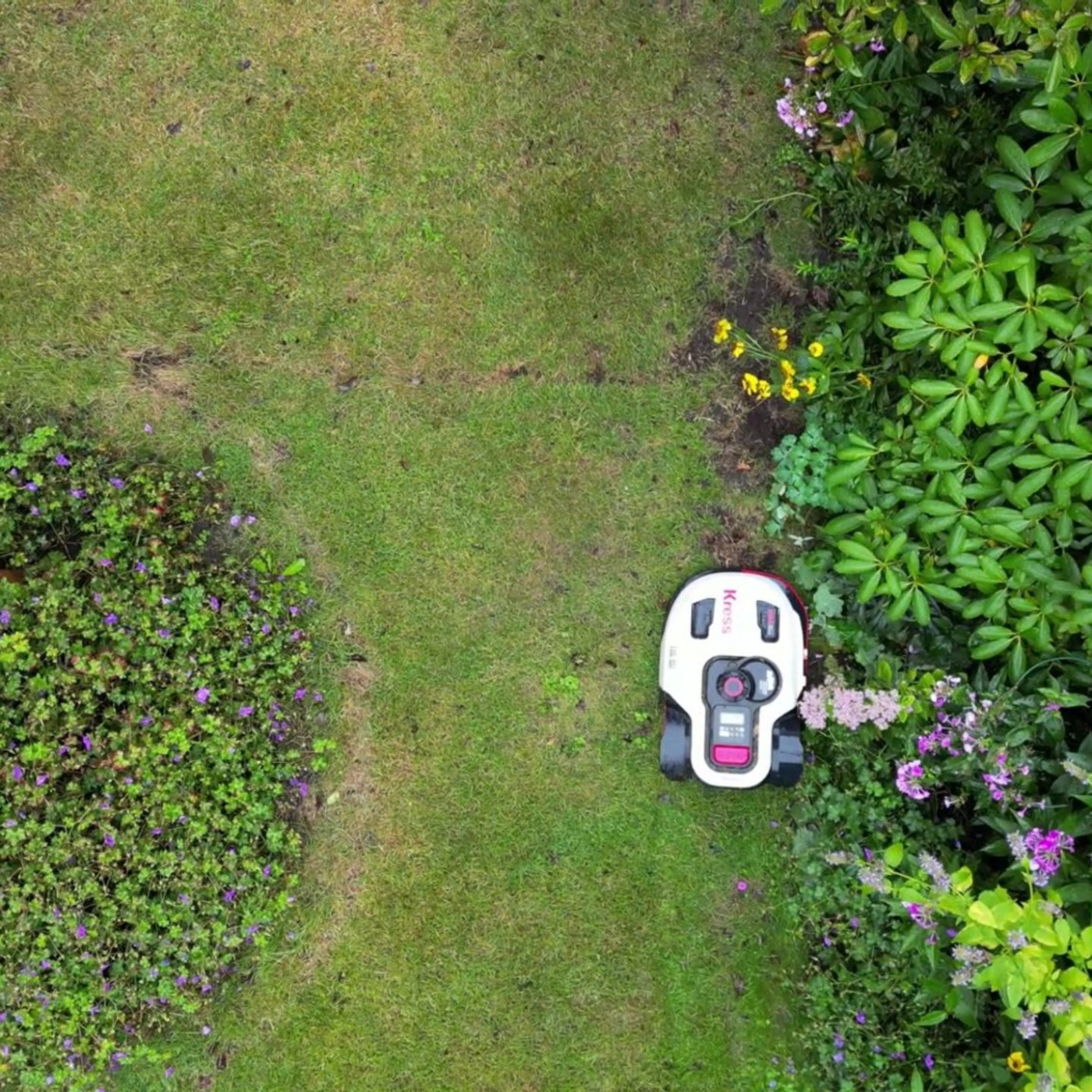 Mähroboter-Käufe um 45 Prozent gestiegen