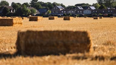 Wie die Landwirtschaft Hitze und Trockenheit trotzt