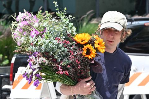 Darum sieht man Jeremy Allen White so oft mit Blumen
