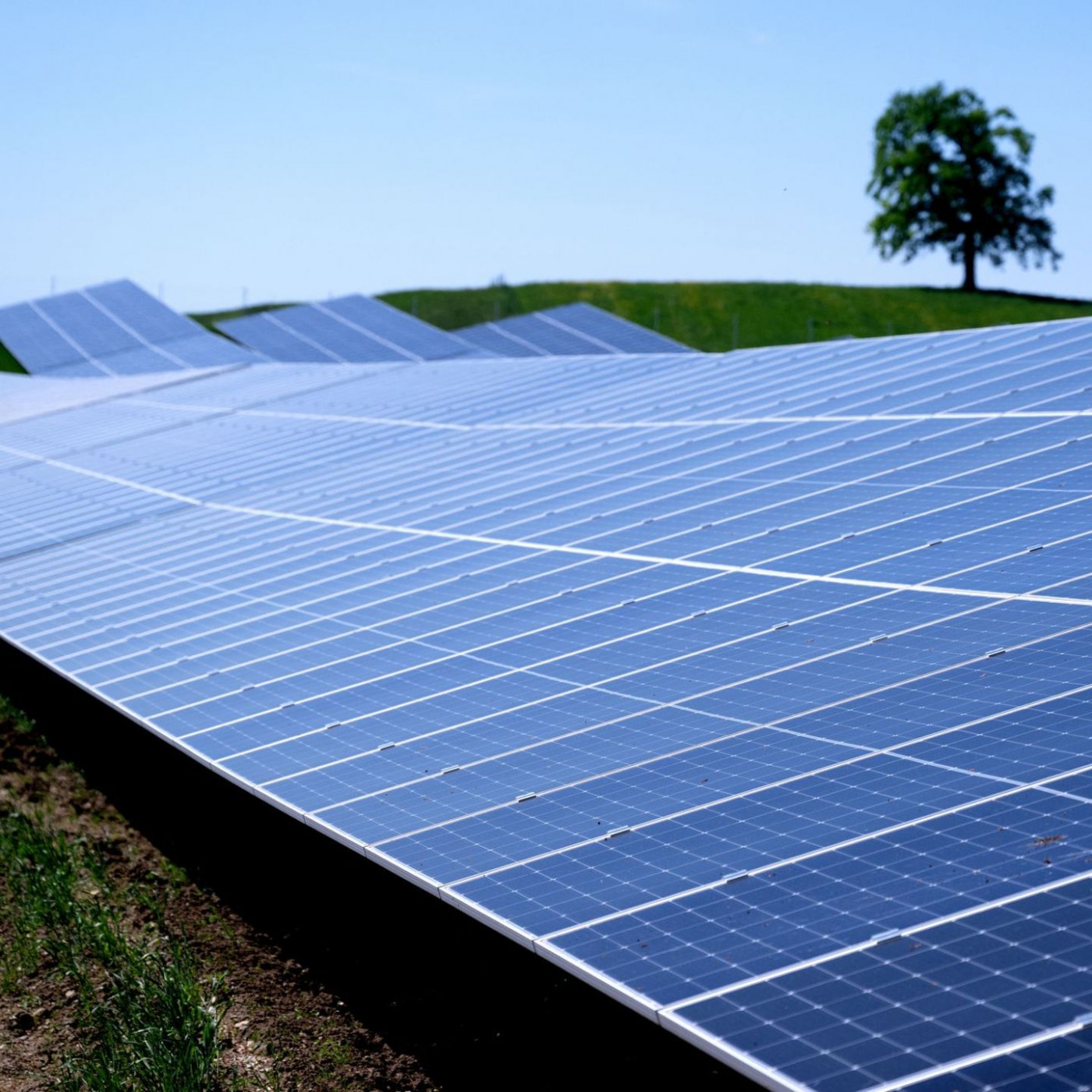 Solar-Ausbauziel für 2030 zur Hälfte erreicht