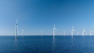 "Niedrige Strompreise setzen dem Offshore-Zubau ein Ende"