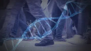 Schwedens Polizei setzt auf kommerzielle DNA-Datenbanken