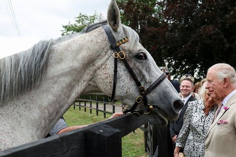 Royals besuchen englische Pferde-Metropole