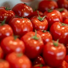 Verbrauch von Tomaten deutlich gesunken