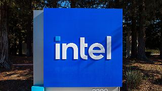 Ifo-Chef freut sich über Intel-Absage, Magdeburg nicht