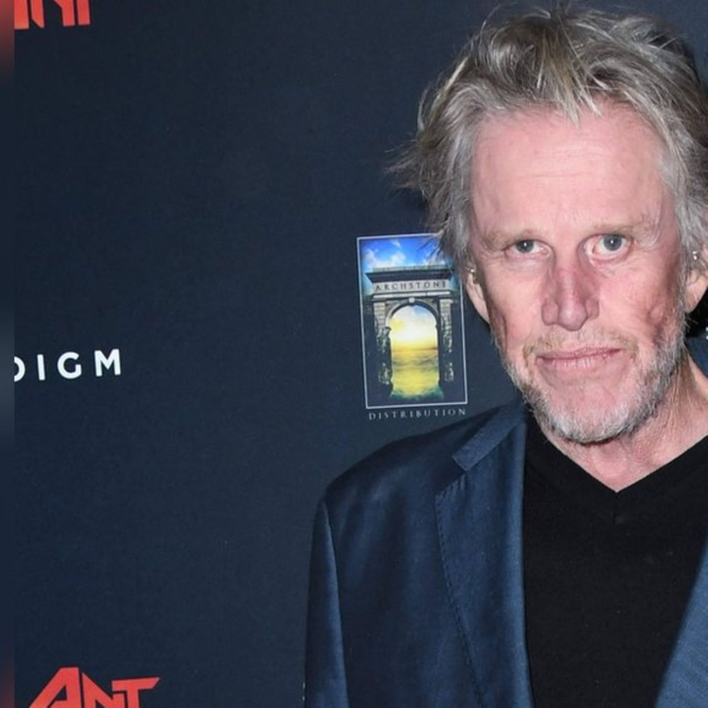 Schauspieler Gary Busey bekennt sich schuldig