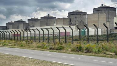 Quallen legen Atomkraftwerk lahm
