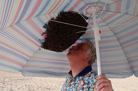 Badegast stellt Schirm auf, wenig später sitzen Tausende Bienen darunter