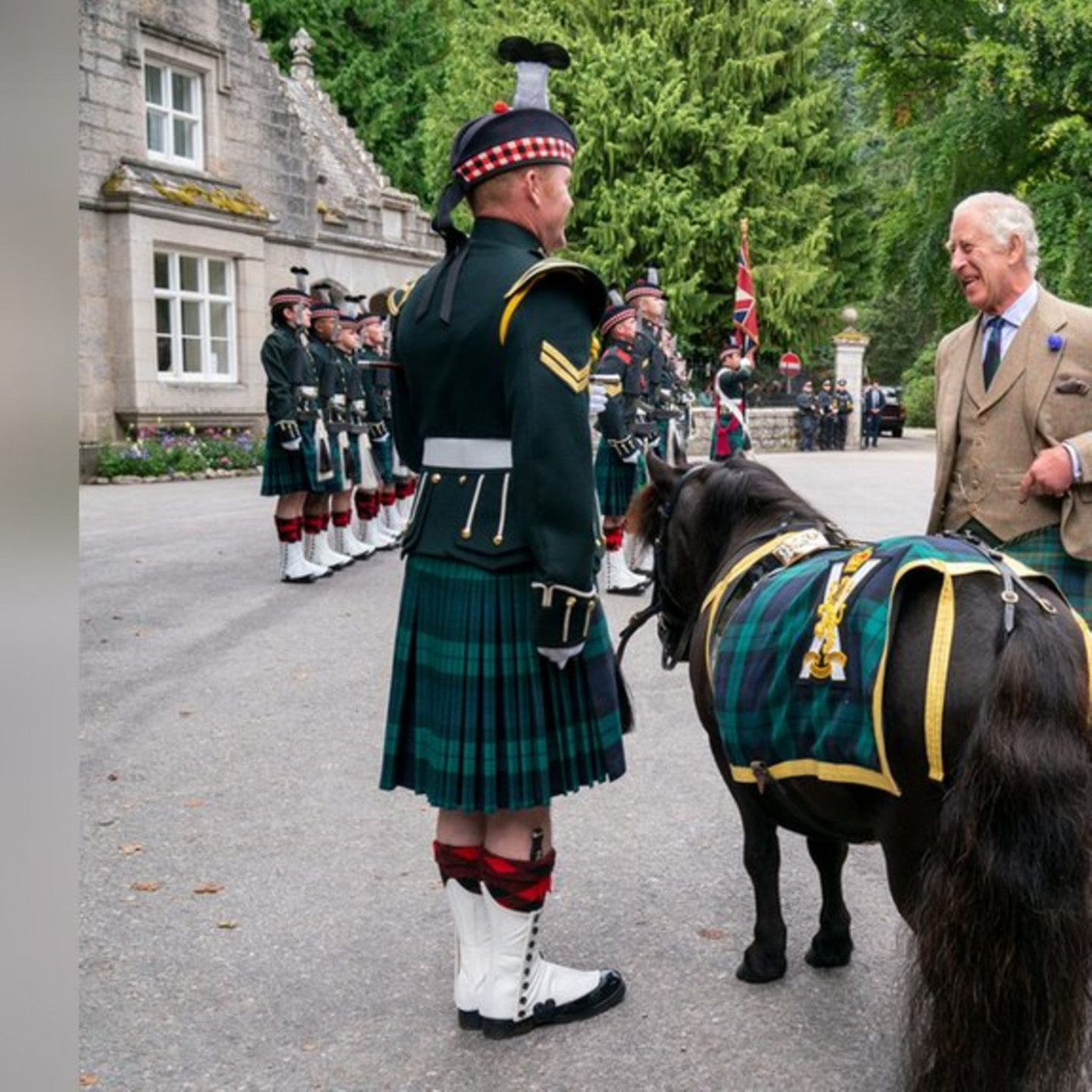 Tierischer Empfang für König Charles III.