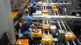 Indien plant trotz Zöllen ehrgeizigen Wirtschaftskurs