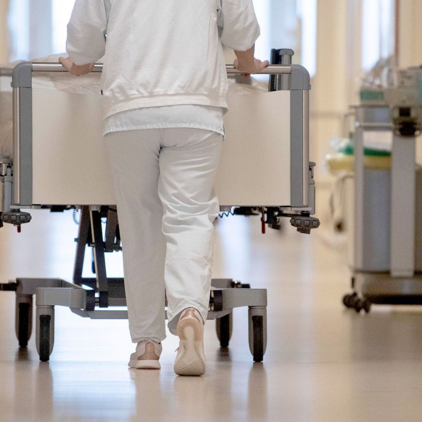 Antragsrekord – Mehr ausländische Berufsabschlüsse anerkannt