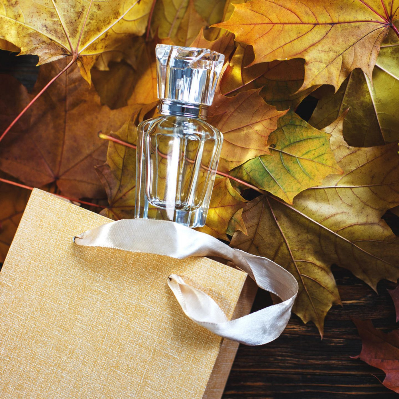 Würzig und opulent: Diese Düfte sind ideal für Herbst und Winter