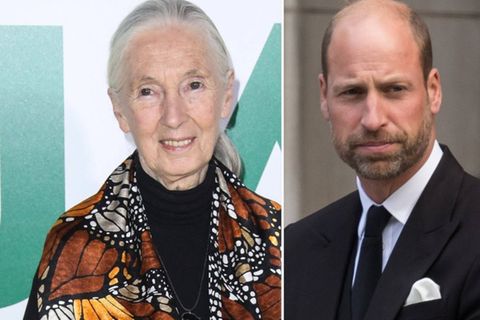 Prinz William trauert um Primatenforscherin
