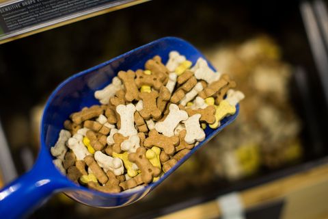 Tierfutter seit 2020 mehr als ein Drittel teurer