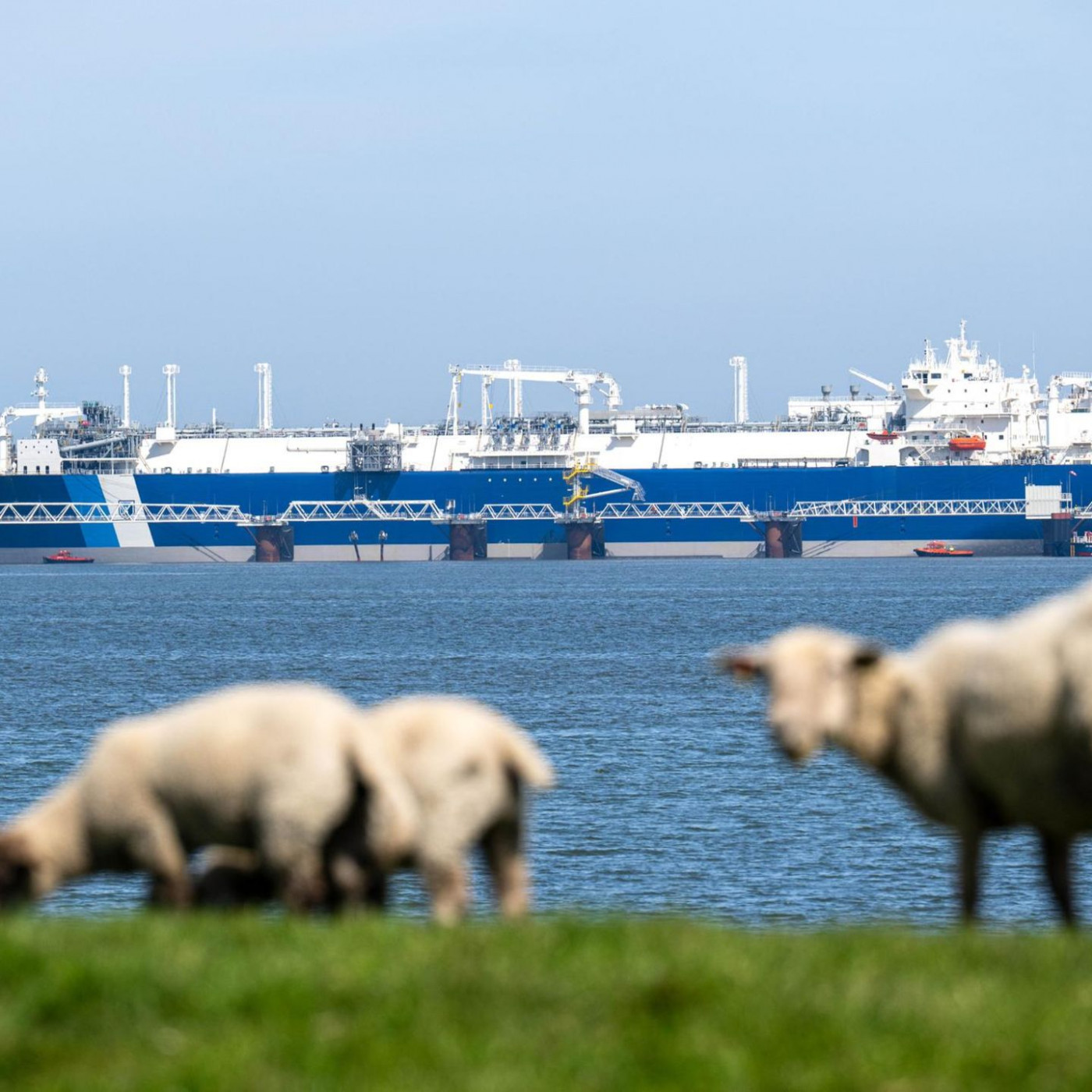 Importe über deutsche LNG-Terminals auf Rekordniveau