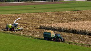 IG BAU fordert 15 Prozent mehr Lohn in der Landwirtschaft