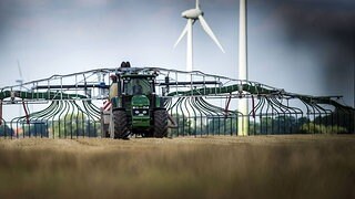 Regionaler Weizen: Ohne Nitratdünger geht es nicht