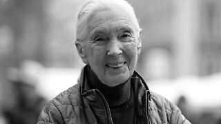 Jane Goodall starb an einem Herzstillstand