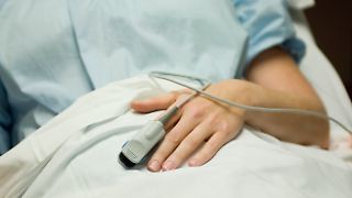 "Junge Frau mit Katze"  - sechs Falsche im Diagnose-Lotto