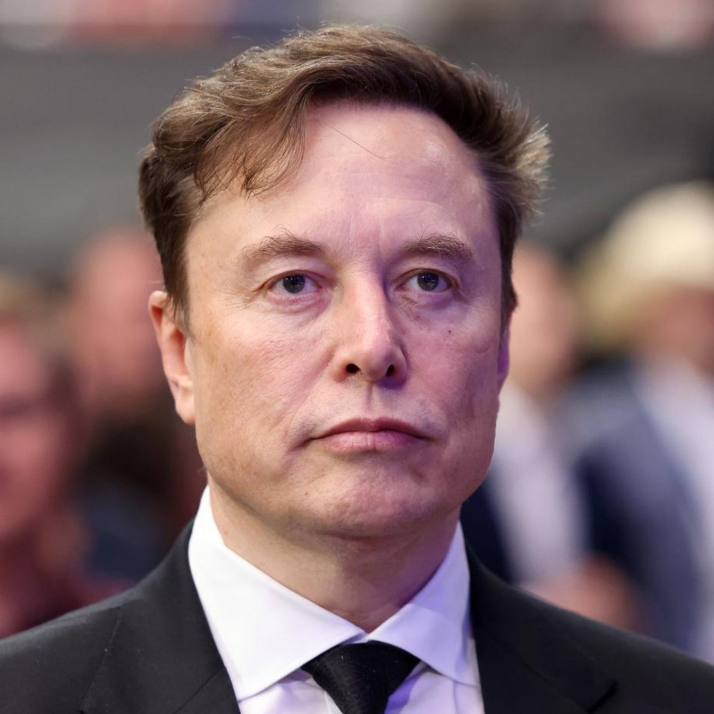 Elon Musk bringt Konkurrenz für Wikipedia an den Start