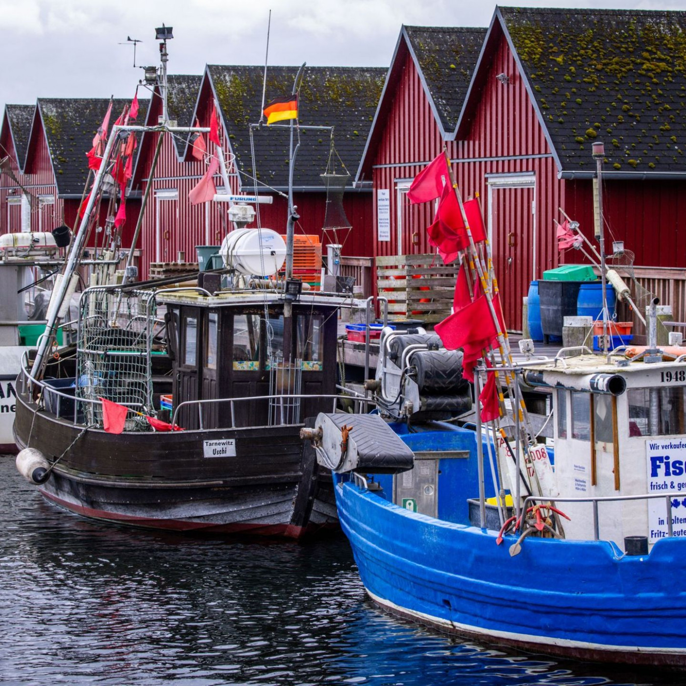 Kaum neue Einschränkungen für Ostsee-Fischer - Backhaus froh