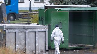 Verband befürchtet steigende Eierpreise wegen Vogelgrippe