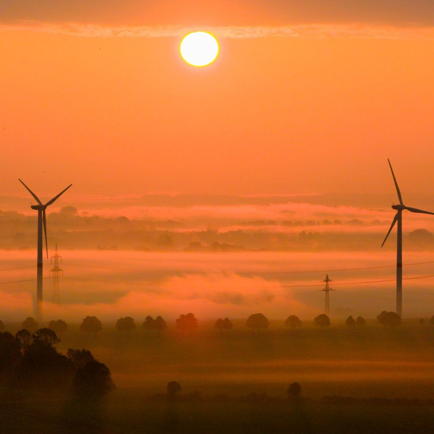 OECD schlägt Alarm: Zu wenig Tempo beim Klimaschutz