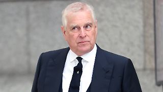 US-Demokraten fordern Andrew zu Aussage über Epstein auf