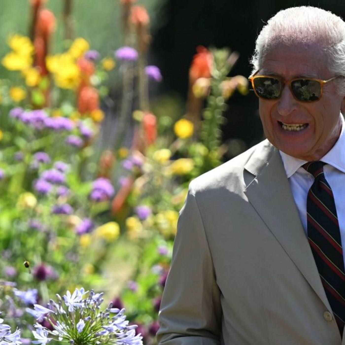 Monarch zeigt seine Gartenarbeit