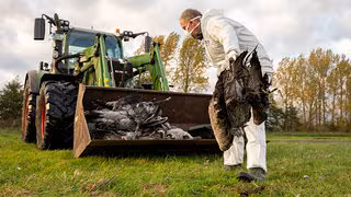 "Virus findet jede Lücke": Labore wegen Vogelgrippe am Limit