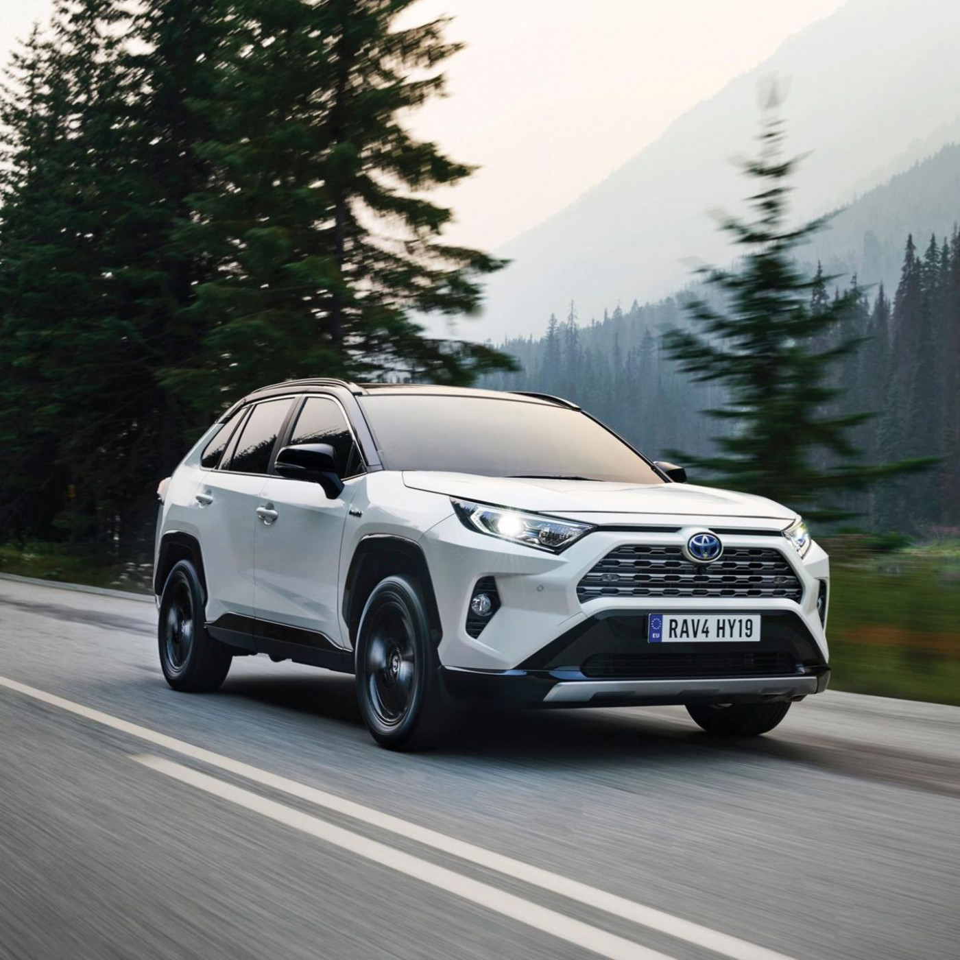 Diese Automodelle stehen bei Dieben hoch im Kurs – ist Ihres dabei?