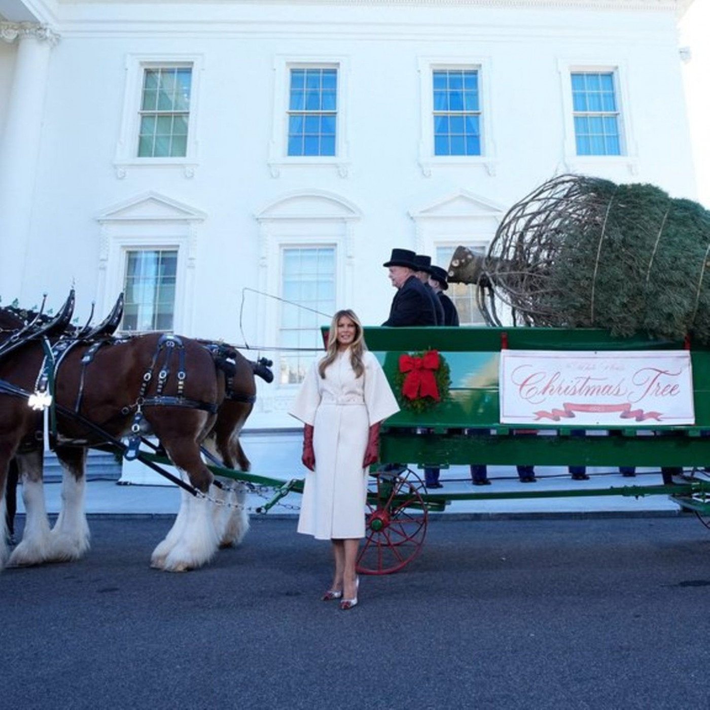 First Lady begutachtet Weihnachtsbaum