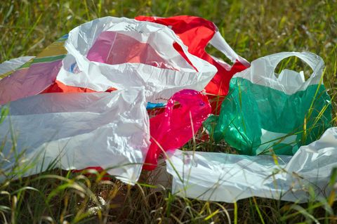 Umweltschützer fordern schärferes Plastiktüten-Verbot