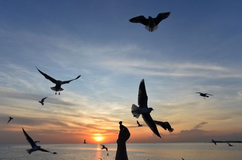 Sommerurlaub gefragt: Dertour meldet starkes Buchungsplus