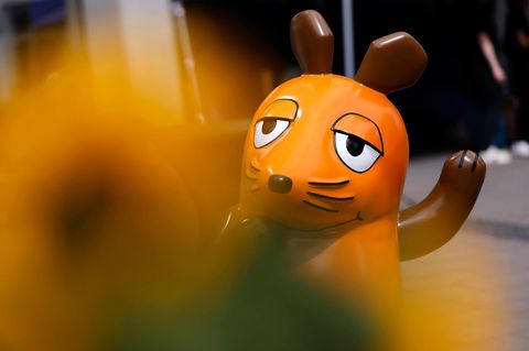 Liebe ARD, bitte vergeigt es jetzt nicht!