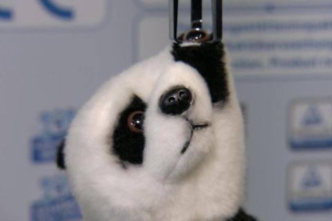 Achtung: Von diesen Spielzeugen sollten Eltern die Finger lassen